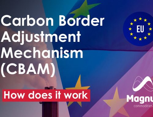 Carbon Border Adjustment Mechanism – CBAM (Video)