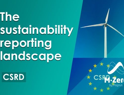 The sustainability reporting landscape (Video)