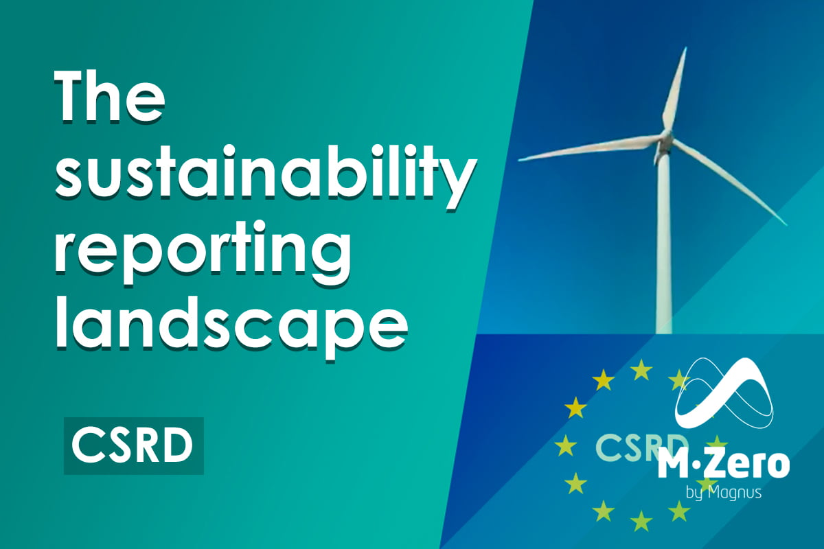 The sustainability reporting landscape (Video)