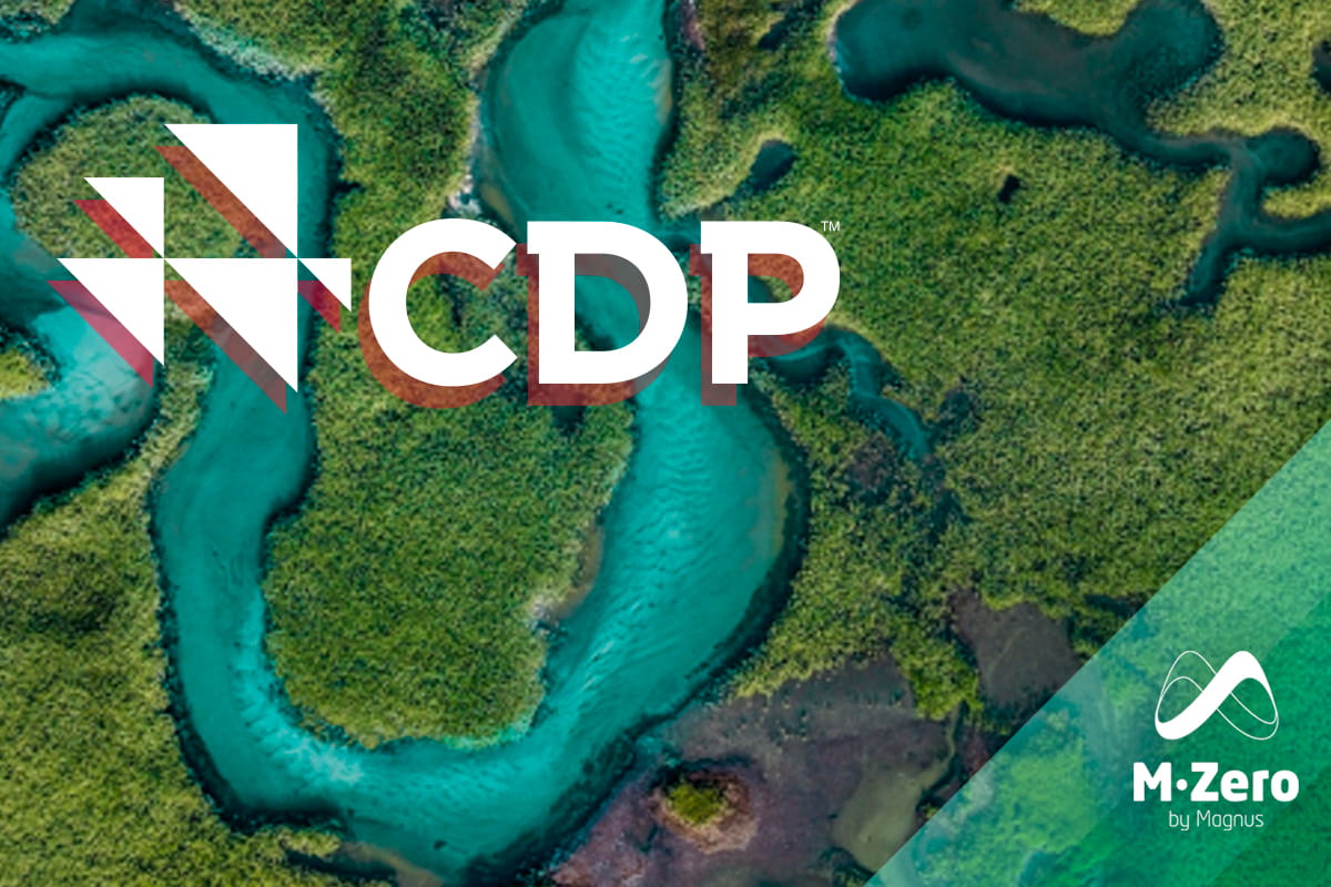 CDP 2024 Timeline Logo