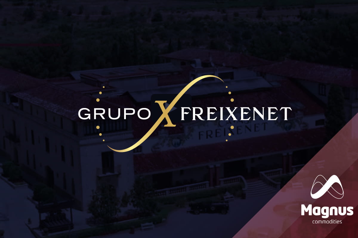 Photovoltaic installations for Freixenet Group