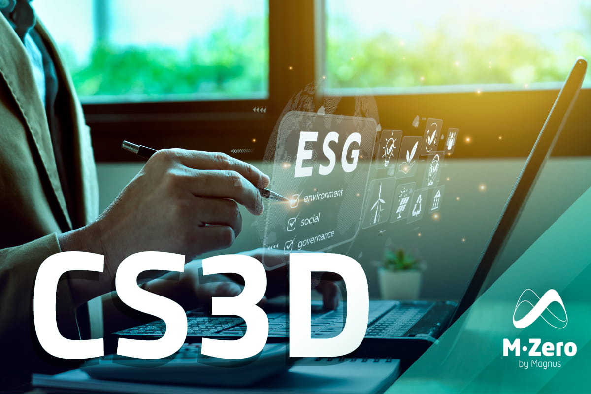 CS3D / CSDDD