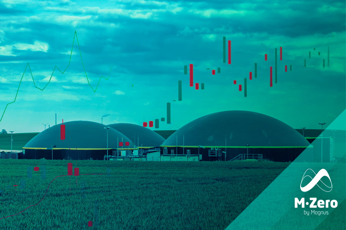 Biomethane Price