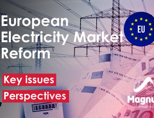 European Electricity Market Reform: Key Issues and Perspectives (Video)