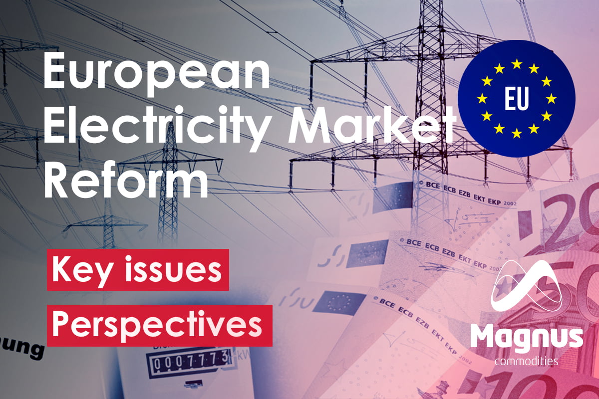 European Electricity Market Reform: Key Issues and Perspectives (Video)