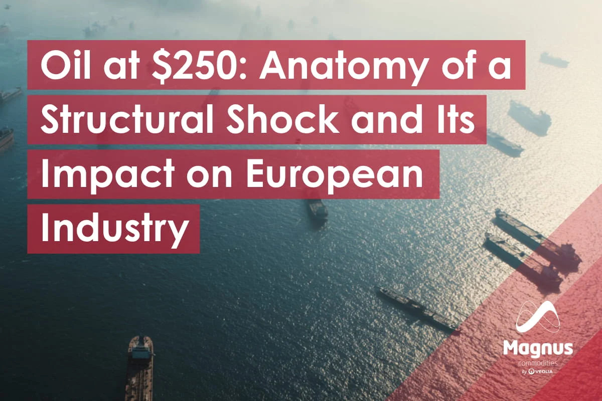 Hormuz - Anatomy of a Structural Shock and Its Impact on European Industry